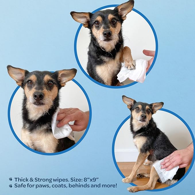 Best Pet Supplies Pet Wipes for Dogs - Dog Wipes Cleaning Deodorizing, for Coats, Ears, Paws - Cleansing Tea Tree, 100 Count