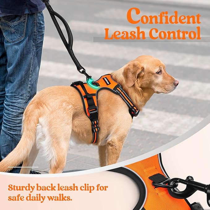 rabbitgoo Dog Harness, No-Pull Pet Harness with 2 Leash Clips, Adjustable Soft Padded Dog Vest, Reflective No-Choke Pet Oxford Vest with Easy Control Handle for Small Dogs,Orange,S