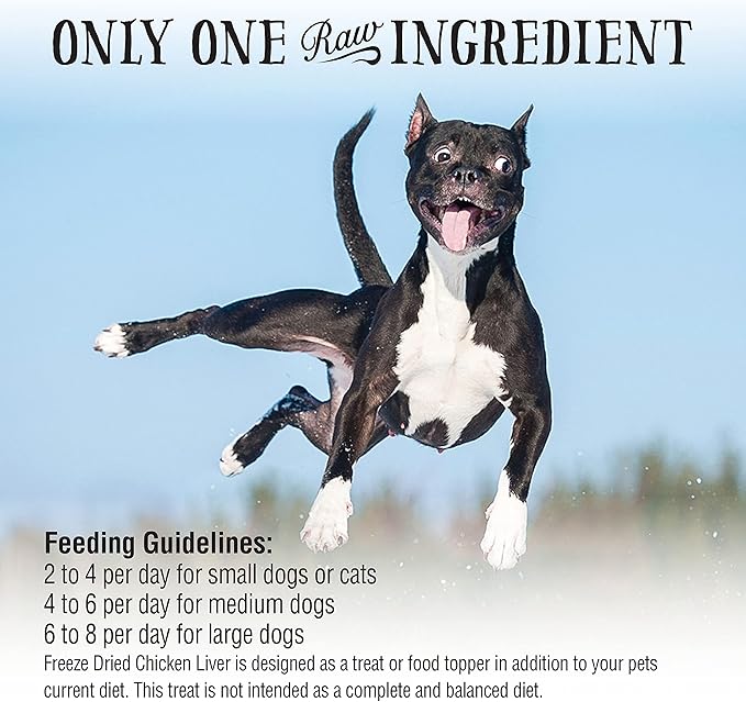 Northwest Naturals Raw Rewards Freeze-Dried Chicken Liver Treats for Dogs and Cats - Bite-Sized Pieces - Healthy, 1 Ingredient, Human Grade Pet Food, Natural - 3 Oz (Pack of 3)