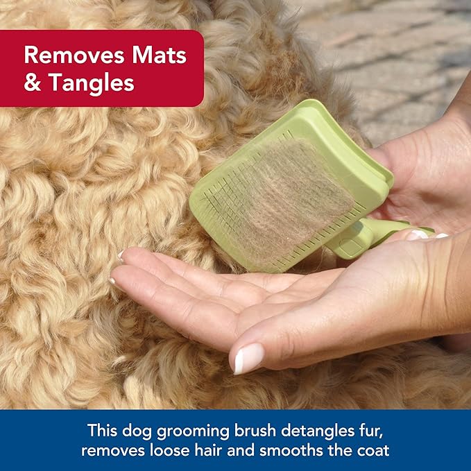 Coastal Pet Safari Dog Self-Cleaning Slicker Brush - Dog Deshedding Brush - Prevents Mats and Tangled Hair - For Dogs with Short or Long Hair - Medium - 4.25" x 4.06"