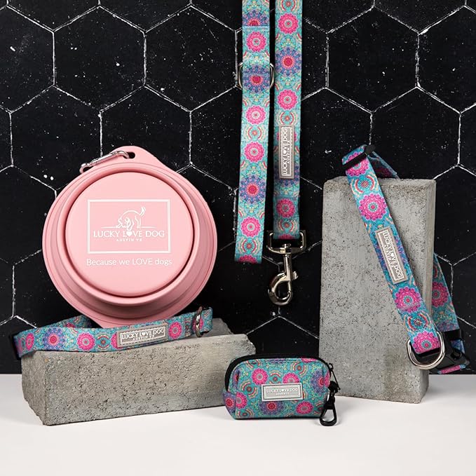 Lucky Love Dog, Boho Chic Martingale Dog Collar for Girl Boy Dogs, Premium No Slip Collar and Leash Set, Vivid Pink and Turquoise Martingale Collar for Dogs (Small, Clara Mart - Combo)