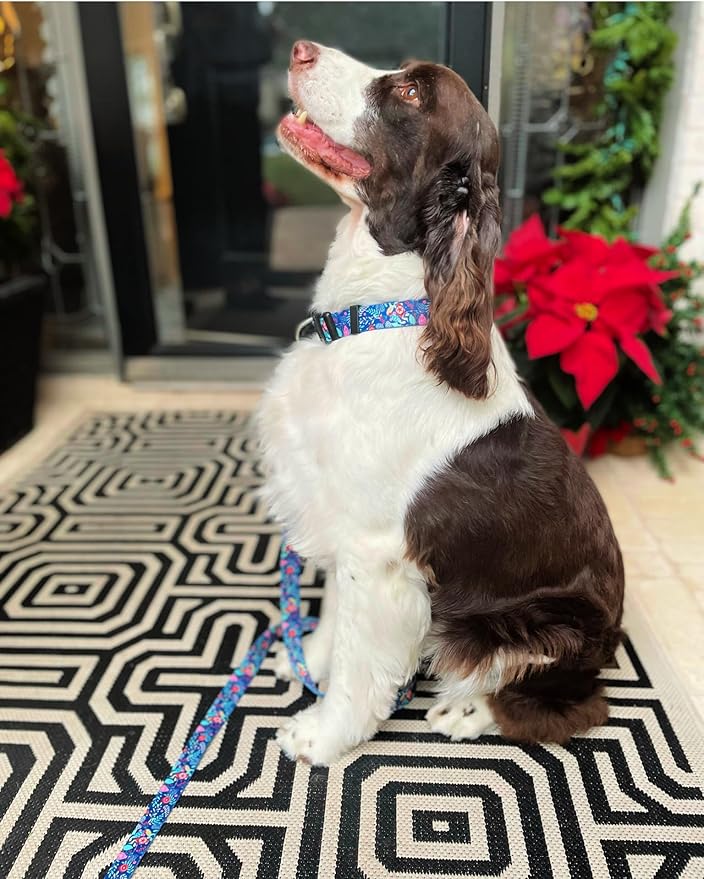 Lucky Love Dog, Blue Winter Pinecones Dog Collar and Leash Set, Vivid Winter Ornaments Dog Collar and Leash for Girl or Boy Dogs - (Extra Small, SweetHoliday Combo)