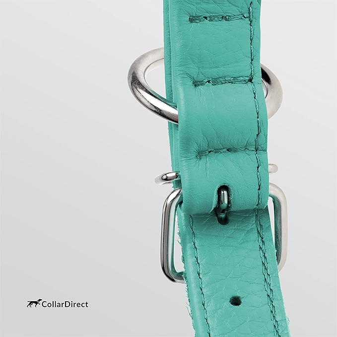 CollarDirect Rolled Leather Dog Collar, Soft Padded Round Puppy Collar, Handmade Genuine Leather Collar Dog Small Large Cat Collars 13 Colors (15-19 Inch, Mint Green Textured)