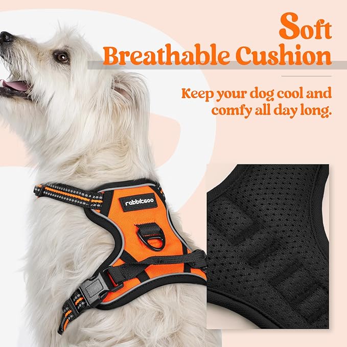 rabbitgoo Dog Harness, No-Pull Pet Harness with 2 Leash Clips, Adjustable Soft Padded Dog Vest, Reflective No-Choke Pet Oxford Vest with Easy Control Handle for Small Dogs, Orange,XS