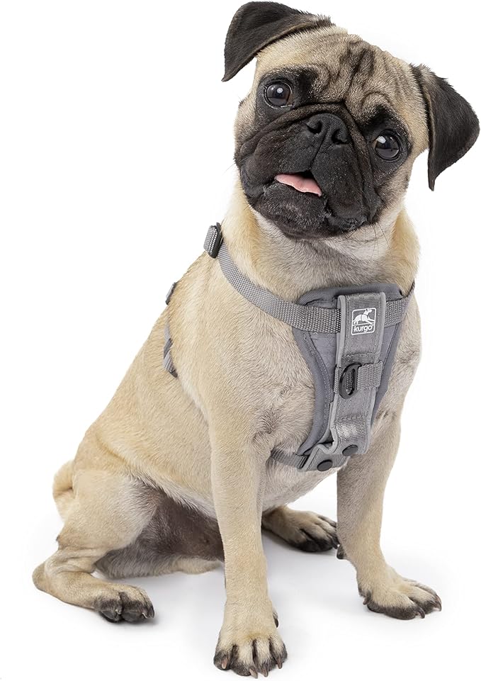 Kurgo Tru-Fit Smart Harness, Dog Harness, Pet Walking Harness, Quick Release Buckles, Front D-Ring for No Pull Training, Includes Dog Seat Belt Tether (Grey, Small)