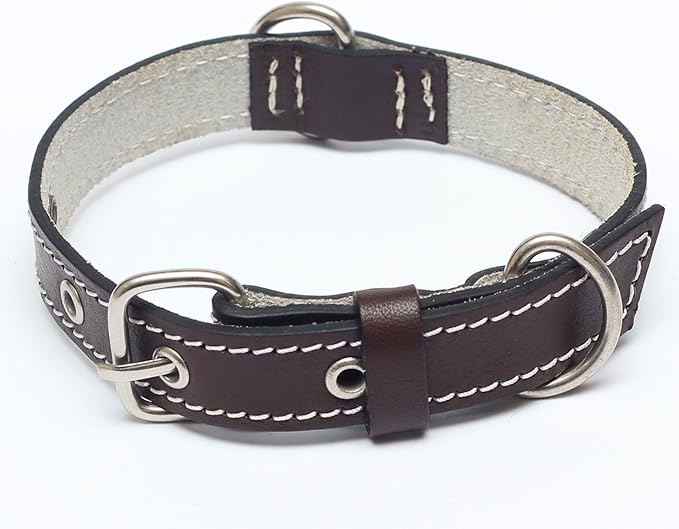 Premium Leather Collars with Stainless Steel Buckles (9"-12", Chocolate)