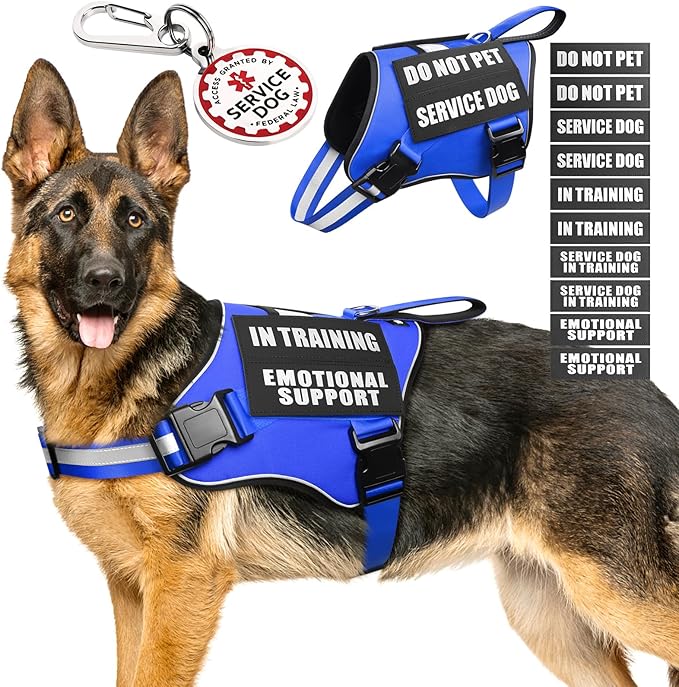 Service Dog Vest Harness+ID Tag+10 Patches,Metal Serivce Dog Tag&Reflective Emotional Support Dog Vest with Handle for Large Dogs,Easy Put On/Off for Training/Walking/Everyday Blue XL
