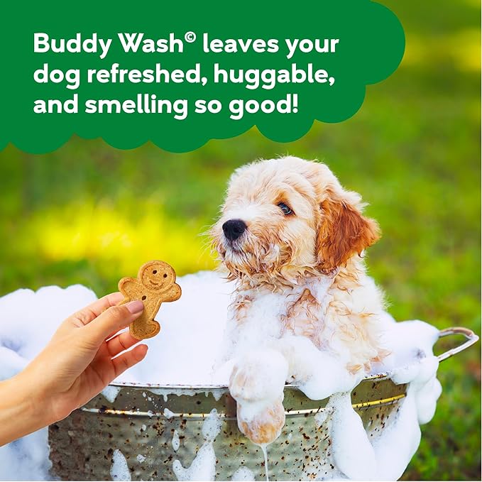 Buddy Grooming Wash 2 in 1 Dog Shampoo, Green Tea & Bergamot, 16 oz. Bottle