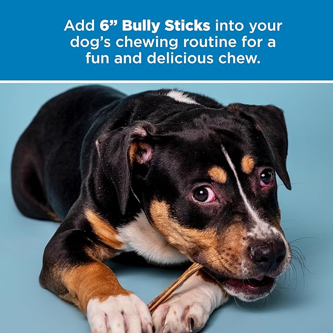 Best Bully Sticks 6 Inch All-Natural Bully Sticks for Dogs - 6” Easily Digestible, 100% Grass-Fed Beef, Grain and Rawhide Free | 25 Pack