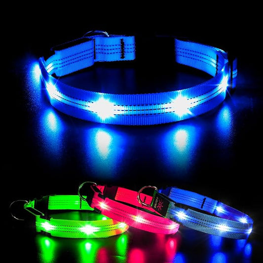 Light Up Dog Collar - BSEEN LED Dog Collar Rechargeable Lighted Dog Collar Reflective Glow Collars for Dogs, Super Bright Dog Lights for Night Walking (Blue-II, Large)