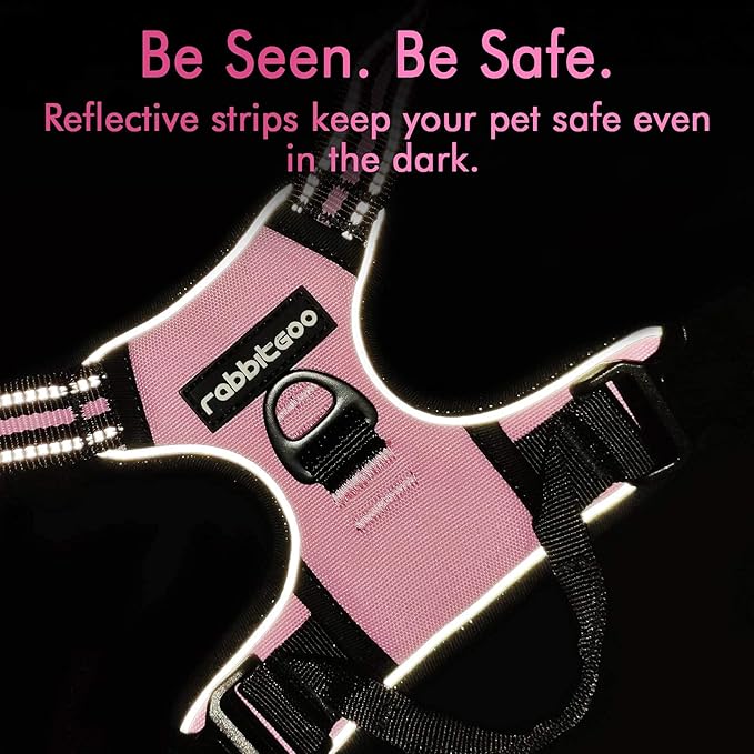 rabbitgoo Dog Harness,No-Pull Pet Harness with 2 Leash Clips, Adjustable Soft Padded Dog Vest, Reflective No-Choke Pet Oxford Vest with Easy Control Handle for Large Dogs, Pink, XL