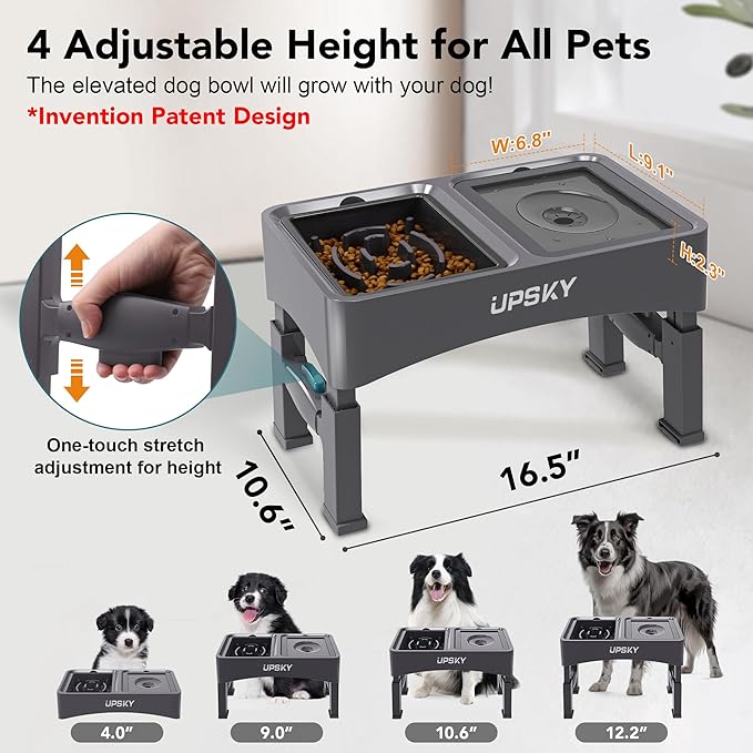 UPSKY 2-in-1 Elevated Dog Bowls Slow Feeder, 4 Height Adjustable Raised Bowl Stand, No Spill Water Dispenser, Anti-Slip Food and Water Bowl for Small Medium Dogs