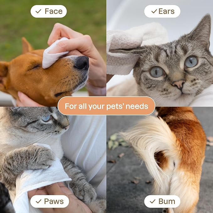 ATTITUDE Pet Grooming Wipes, Plant and Mineral-Based Ingredients, Vegan and Cruelty-Free Biodegradable Products, Unscented, 72 count (Pack of 6)