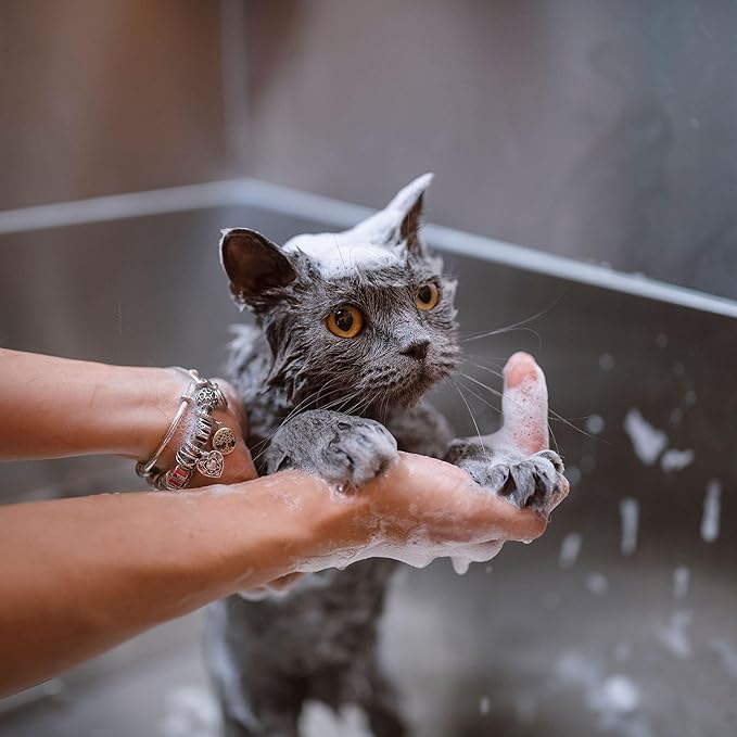 Eye Envy Moisturizing Pet Shampoo | Cleans, softens, add Shine | Glycerin enriched | Detergent Free | Gentle for Everyday use | Fragrance Free | Safe for Puppies and Kittens, 16oz