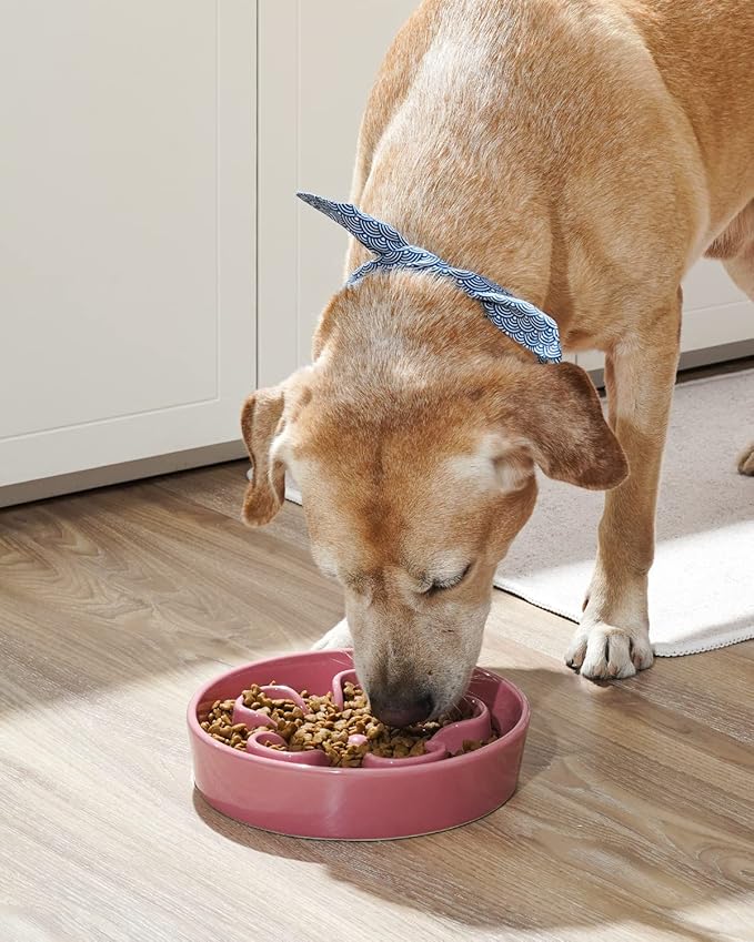 LE TAUCI Slow Feeder Dog Bowl - Ceramic Maze Dog Bowl for Medium Large Breeds, 3 Cups, BloomPink
