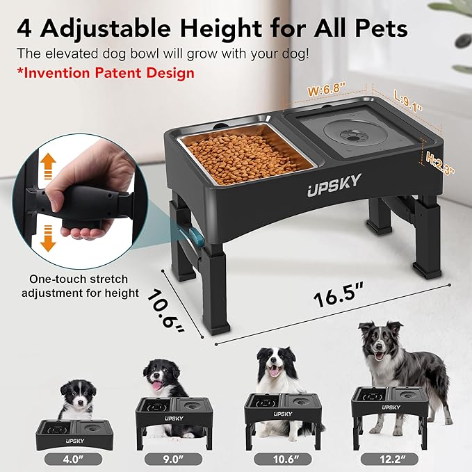 UPSKY Elevated Dog Bowl