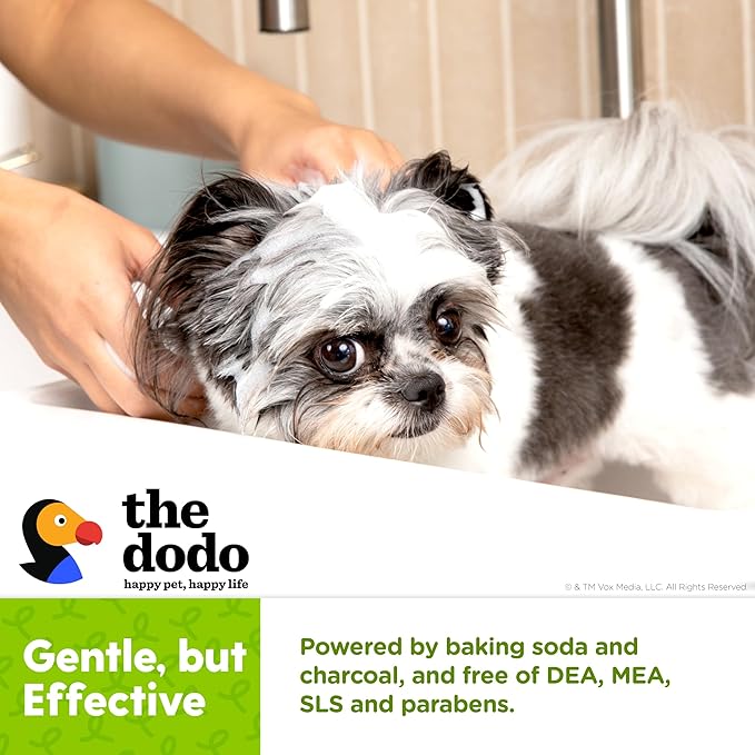 The Dodo Tearless Deodorizing Shampoo for Dogs, Summer Citrus with Baking Soda and Charcoal; Dog Shampoo Deodorizer