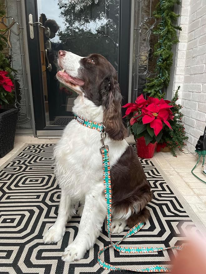 Lucky Love Dog Collar Combo Set, Matching Collar and Leash for Extra Small Dogs, Peace Sign Dog Collar and Leash Set, Convenient & Reliable (Peace on Earth Combo, Extra Small)