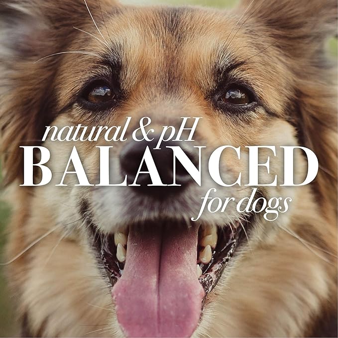 Burt's Bees for Pets Tearless Puppy Shampoo with Buttermilk, 95% Natural Origin Formulas, Shampoo for Puppies - Gentle Dog and Puppy Shampoo Tear Free, Best Puppy Shampoo Tearless, 32 oz