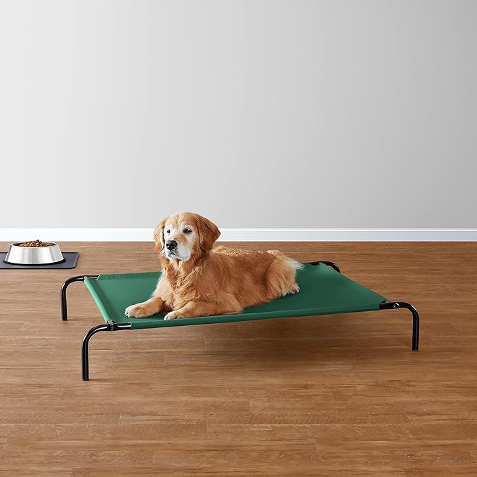 Amazon Basics Cooling Elevated Pet Bed, Large (51 x 31 x 8 Inches), Green