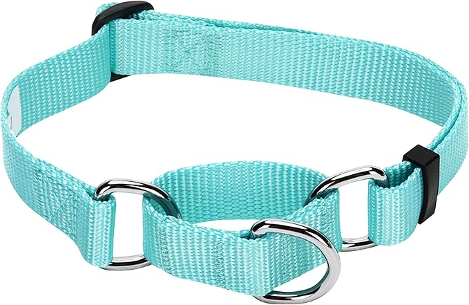Blueberry Pet Essentials Martingale Safety Training Dog Collar, Mint Blue, Medium, Heavy Duty Nylon Adjustable Collars for Dogs