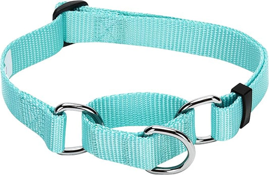Blueberry Pet Essentials Martingale Safety Training Dog Collar, Mint Blue, Medium, Heavy Duty Nylon Adjustable Collars for Dogs