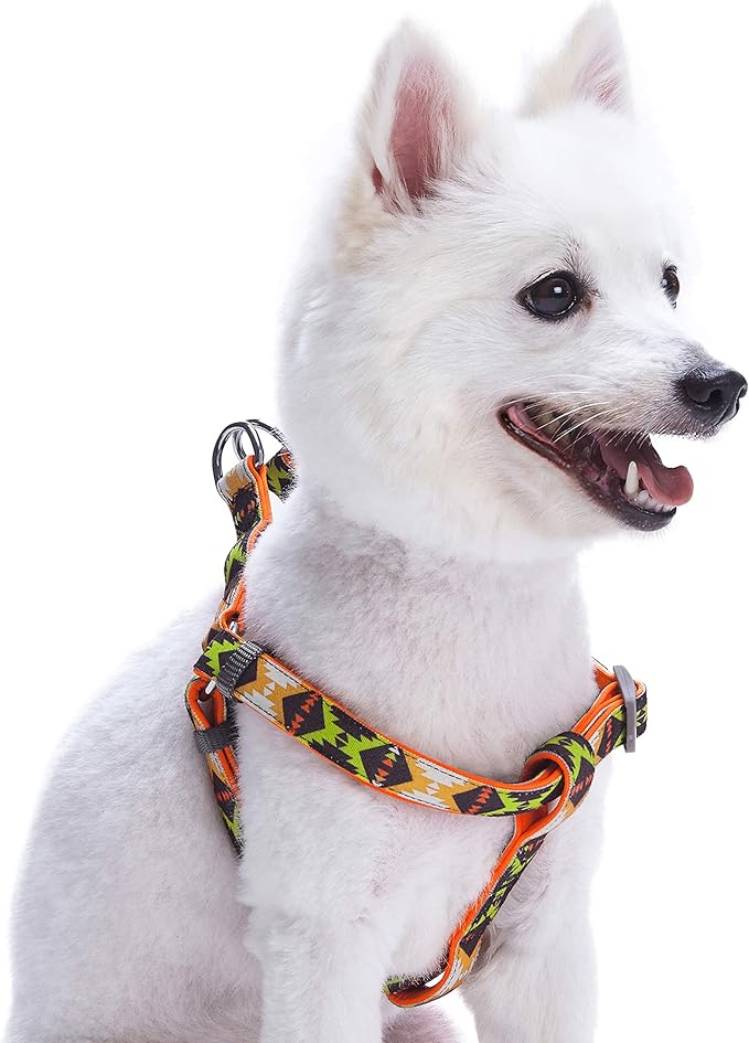 Blueberry Pet 2 Colors Soft & Comfy Step-in Southwestern Vintage Tribal Print Padded Dog Harness, Chest Girth 15.5" - 19.5", Extravagant Orange, XS/S, Adjustable Harnesses for Dogs