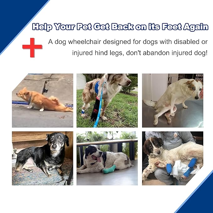 Adjustable Dog Wheelchair for Back Legs| Pet Wheelchairs with Disabled Hind Legs Walking|Stabel & Light Weight | Black(XS)