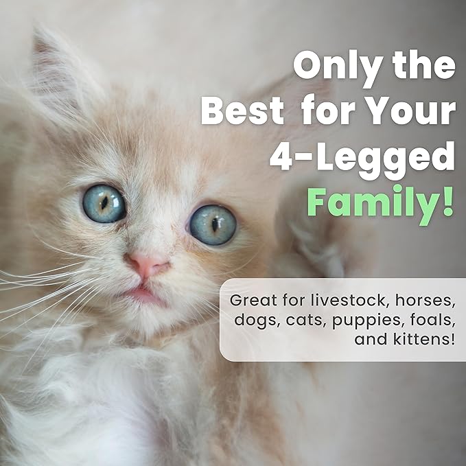 Best Shot One Shot Deodorizing Shampoo, Coat and Skincare Product for Dogs, Cats, and Horses, Eliminates Foul Odors, 1 Gallon