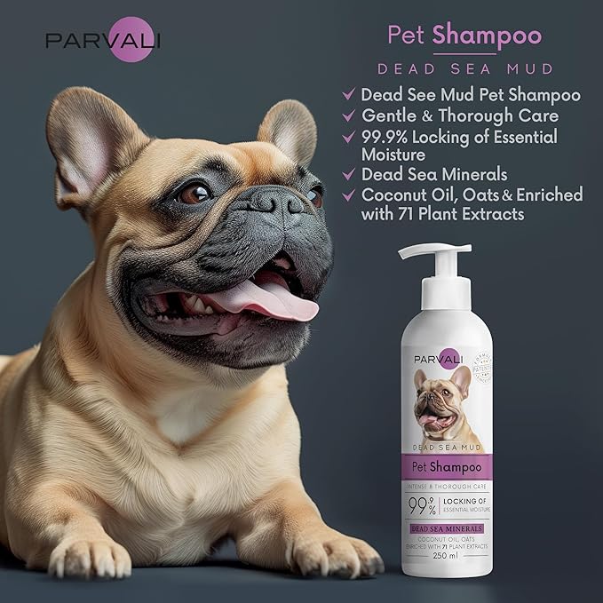 Natural Dead Sea Mud Bath Dog Shampoo (250 ml, 8.45 fl oz). A Purifying Anti-Itching Gentle Skin and Coat Care Formula. Minerals Rich, Long-Lasting Perfume, Easy Application. Enjoy!
