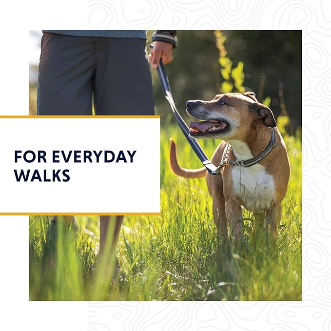 Ruffwear, Chain Reaction Dog Collar, Martingale Style for On-Leash Walking, Blue Pool, 20"-26"