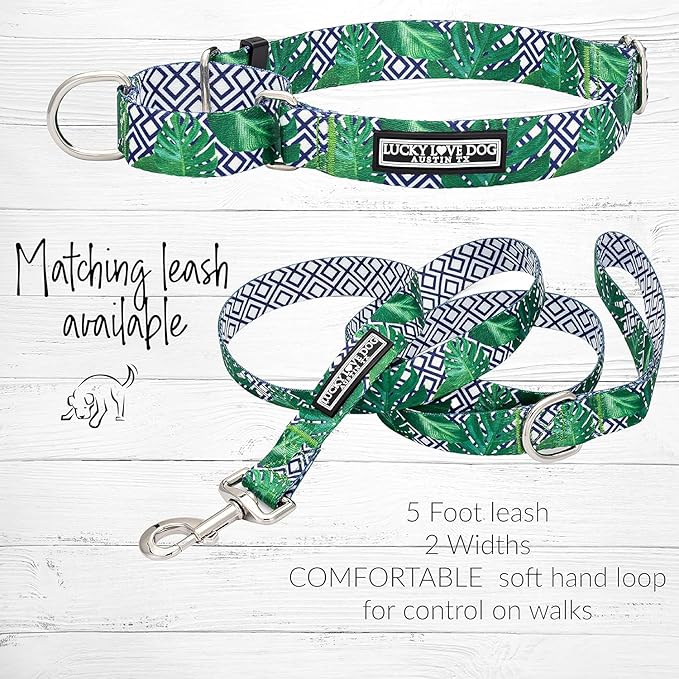 Lucky Love Dog Martingale Collar and Leash Set, Premium No Slip Martingale Collar for Large Boy Dogs, Great for Whippets, Greyhounds, and More (Large, Blue Laguna - Combo)