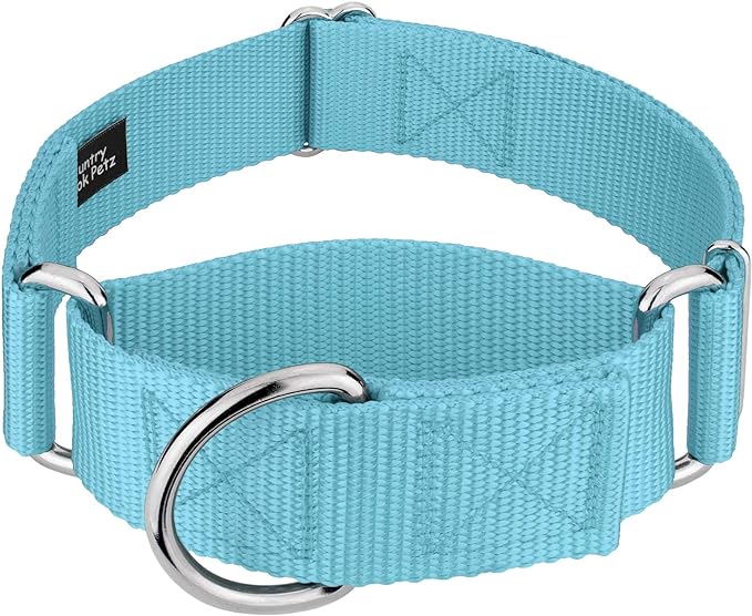 Country Brook Petz 1 1/2 Inch Martingale Heavy Duty Nylon Adjustable Dog Collar for Small, Medium, Large Breeds - Vibrant 17 Color Selection (Ocean Blue, Extra Large)