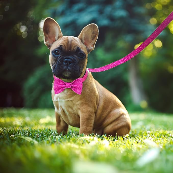 Bling Bow Tie Dog Collar and Leash Set, Cute Pink Girl Dog Collar with 5ft Leash for Small Medium Dogs Daily Walking or Holiday Party (Hot Pink, Neck fit 13-19’’)