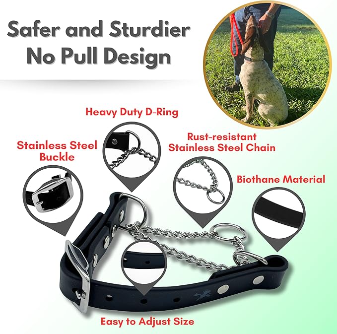 Martingale Collar for Dogs, Biothane, Stainless Steel Hardware, No Pull, Made in The USA, Professional Grade, Medium, Black