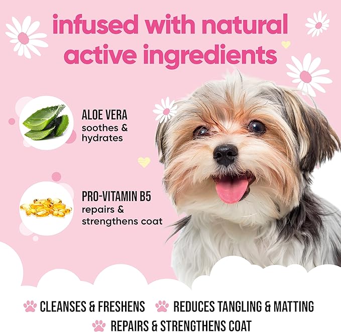 Baby Fresh Dog Shampoo by Buddycare | Deep Cleansing Shampoo for Dogs | Fresh Scented | with Aloe Vera and Pro Vitamin B5 (16.90oz)