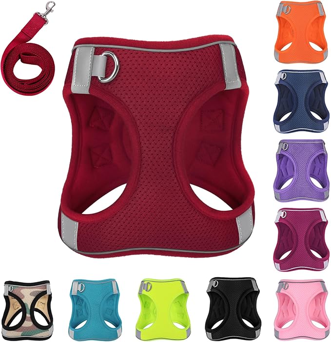 Dog Harness with Leash Set, No-Pull Step-in Reflective Pet Harness with 1 Leash Clips, Adjustable Soft Padded Easy Walk Dog Vest for Small Medium Large Dogs, Cats(Bright Red, XSmall)