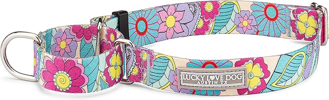Lucky Love Dog Martingale Dog Collar - Adjustable, No-Slip, Durable, & Soft Webbing Dog Collar for Male and Female Dogs Ideal for Training & Walking - Stylish Caroline Pattern, Small Size