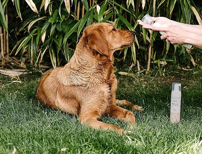 Dry Wash Shampoo for Pets – Soothing & Deodorizing, Natural Ingredients, Quick Drying & No Rinsing Required (Aloe & Oat)