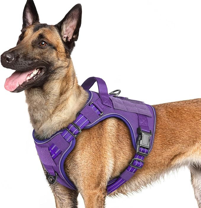 rabbitgoo Dog Harness for Large Dogs No Pull, Tactical Service Dog Vest with Molle and Control Handle, Adjustable and Reflective Military Pet Harness for Easy Walking and Training, Purple, L