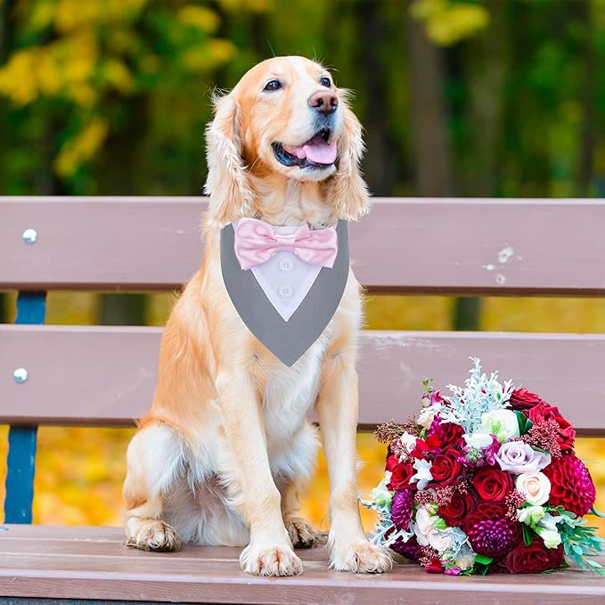ADOGGYGO Formal Dog Tuxedo Wedding Pet Bandana Collar with Bowtie, Adjustable Birthday Wedding Formal Tux Costumes for Extra Large Dogs Pets (XL, Grey)