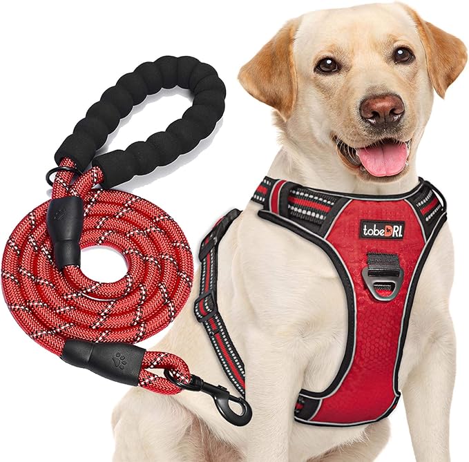 tobeDRI No Pull Dog Harness Adjustable Reflective Oxford Easy Control Medium Large Dog Harness with A Free Heavy Duty 5ft Dog Leash (L (Neck: 18"-25.5", Chest: 24.5"-33"), Red Harness+Leash)