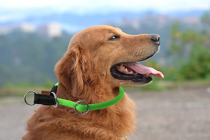 Braided Collar, Pro Training Dog Collar, No Pull Round Collar, Slip Collar with Slidable Stop Ring - Ideal for Medium/Large Dogs (M+(1/2") - 18" Long, Light Green)