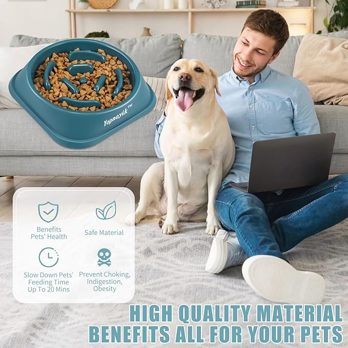 Slow Feeder Dog Bowls for Healthy Eating, Non-Slip and Anti-Choking Design, Reduces Bloating & Overeating for Small & Medium Dogs and Cats, Easy to Clean