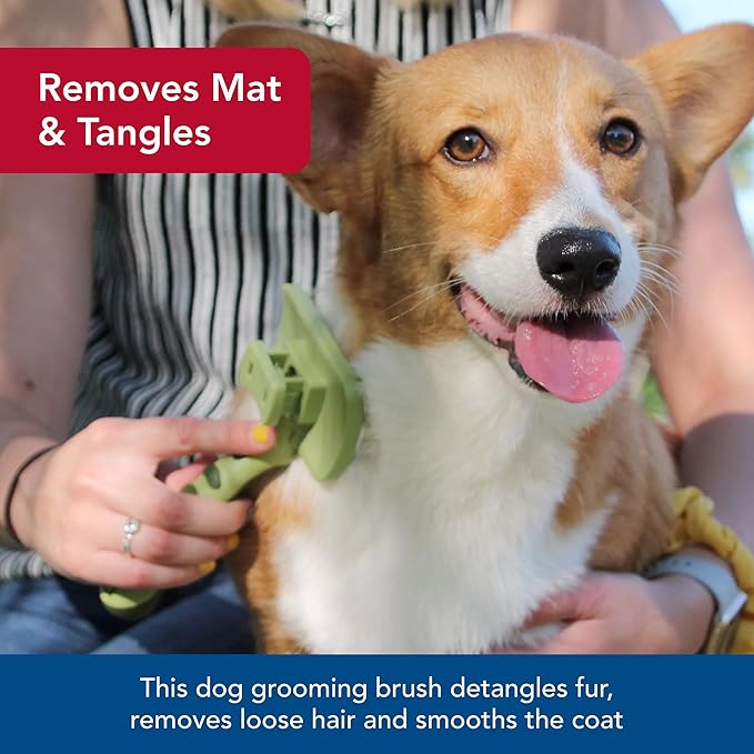 Coastal Pet Safari Dog Self-Cleaning Slicker Brush - Dog Deshedding Brush - Prevents Mats and Tangled Hair - For Dogs with Short or Long Hair - Small - 7" x 3.6"