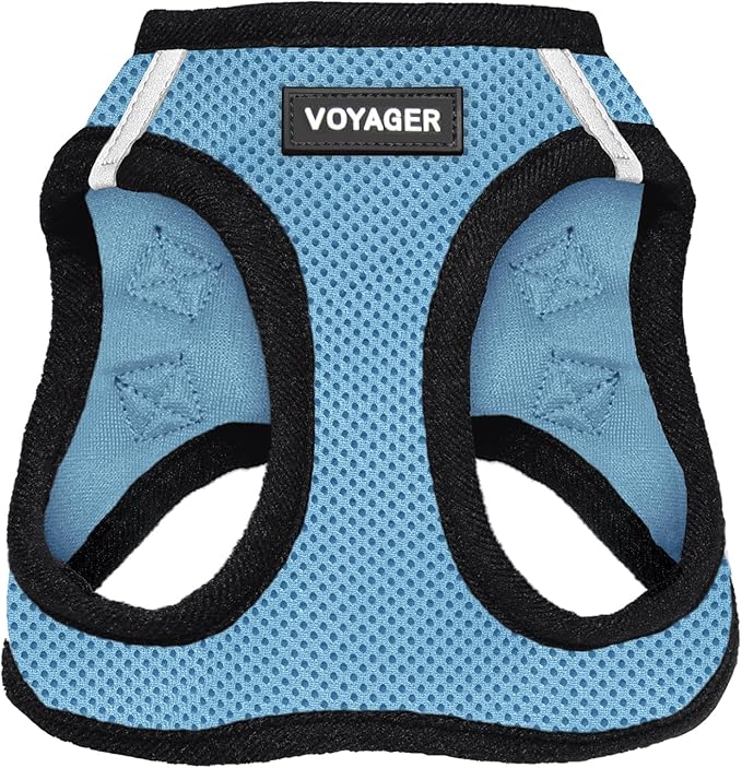 Voyager Step-In Air Dog Harness - All Weather Mesh, Reflective, No Pull Harness for Small, Medium Dogs, Cats - Secure with Hook & Loop Fastener, Buckle, Double D-Rings - Baby Blue/Black Trim, S