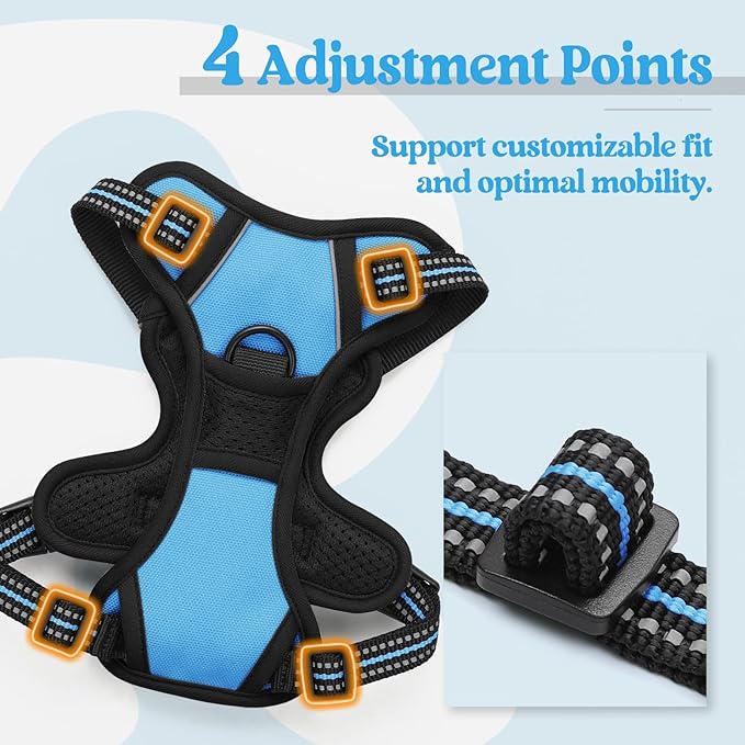 rabbitgoo Dog Harness, No-Pull Pet Harness with 2 Leash Clips, Adjustable Soft Padded Dog Vest, Reflective No-Choke Pet Oxford Vest with Easy Control Handle for Small Dogs, Blue, XS