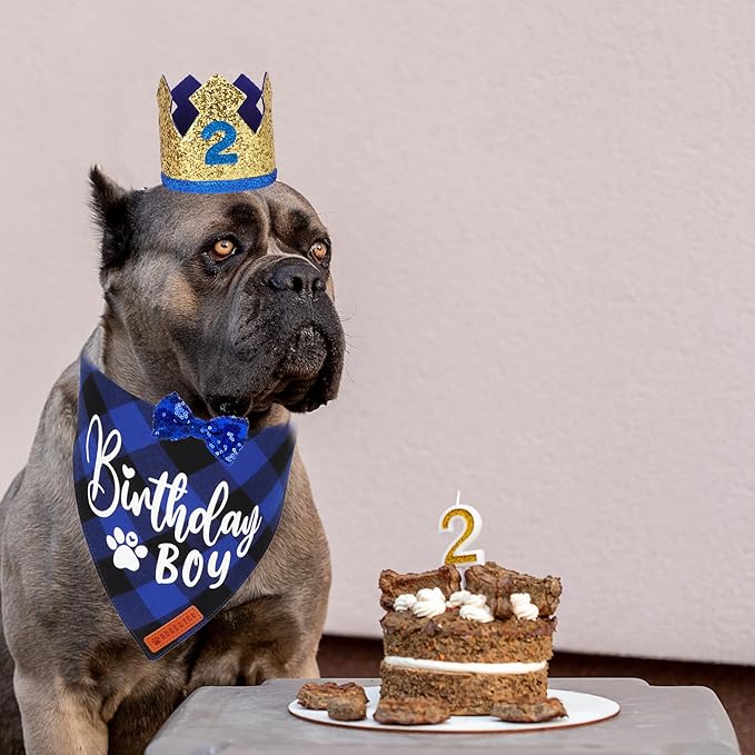 ADOGGYGO Dog Birthday Party Supplies, Blue Plaid Birthday Boy Dog Bandana, Golden Pet Party Hat with Numbers, Bowtie for Medium Large Pets (Large)