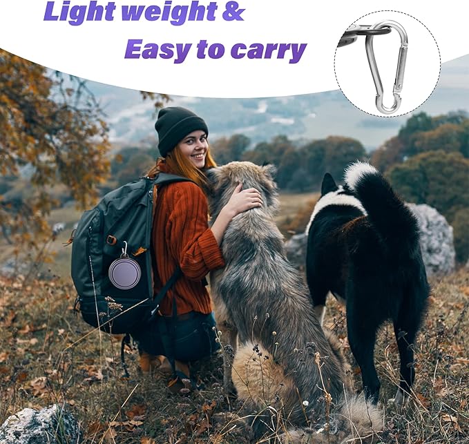 Dog Bowl Pet Collapsible Bowls, 2 Pack Collapsible Dog Water Bowls for Cats Dogs, Portable Pet Feeding Watering Dish for Walking Parking Traveling with 2 Carabiners (Small, Purple+Fairy Pink)