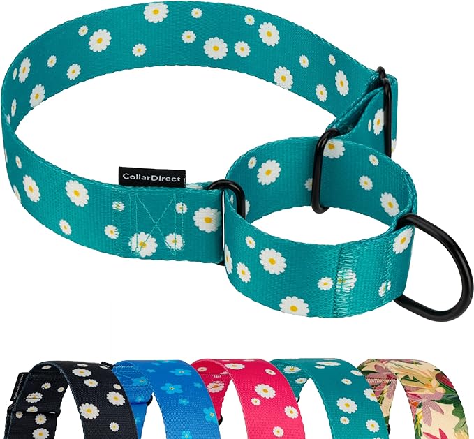 CollarDirect Martingale Collars for Dogs Heavy Duty Floral Pattern Female Safety Nylon Training Wide Collar Flower Design Large Medium (M, Neck Size 12"-17", Aquamarine)